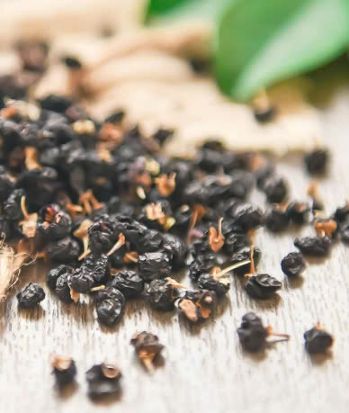 Hắc kỷ tử (kỷ tử đen)